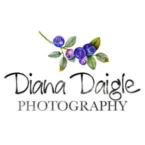 Diana Daigle Photography